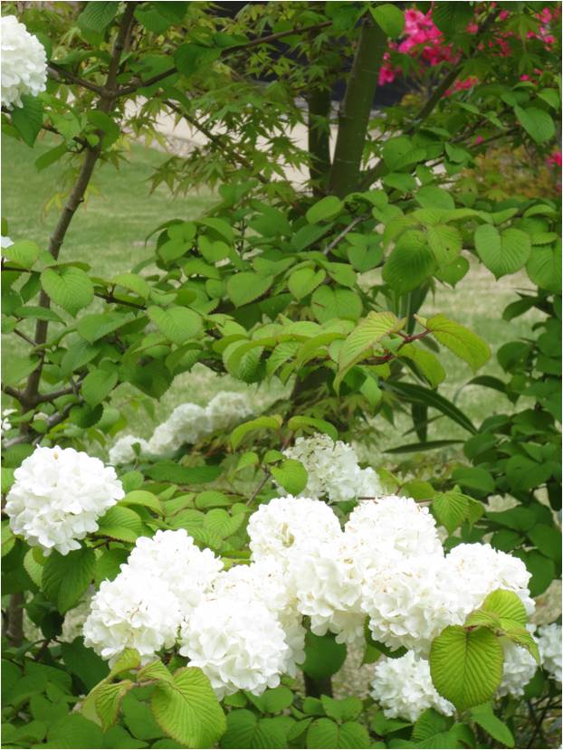 f:id:miraireport:20190521180527j:plain