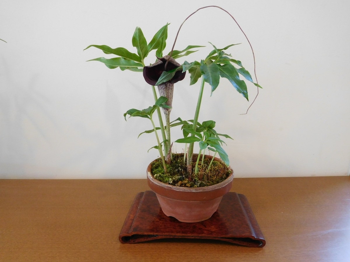 f:id:miraireport:20190522162059j:plain f:id:miraireport:20190522162059j:plain