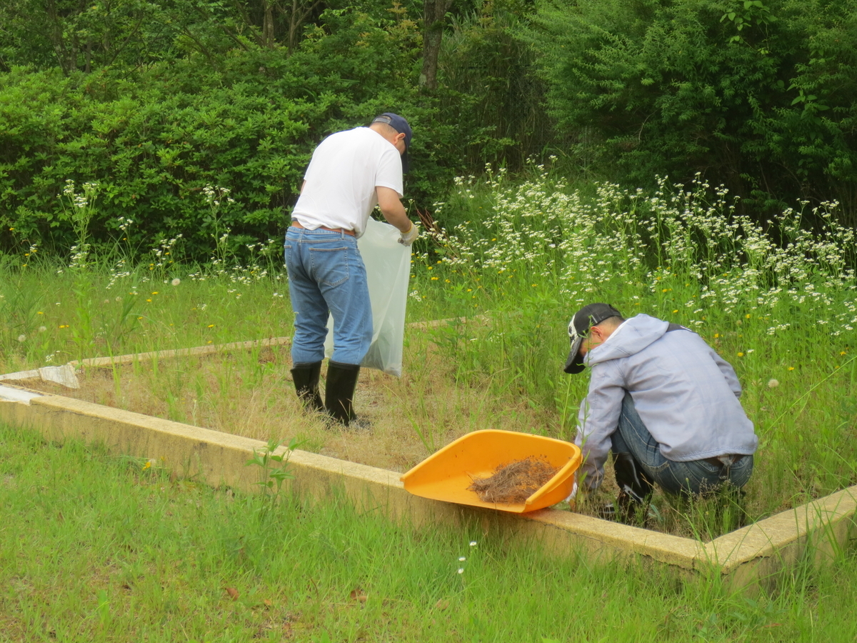 f:id:miraireport:20190624092602j:plain f:id:miraireport:20190624092602j:plain