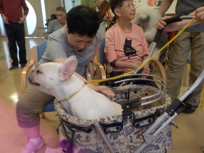 f:id:miraireport:20190701112813j:plain