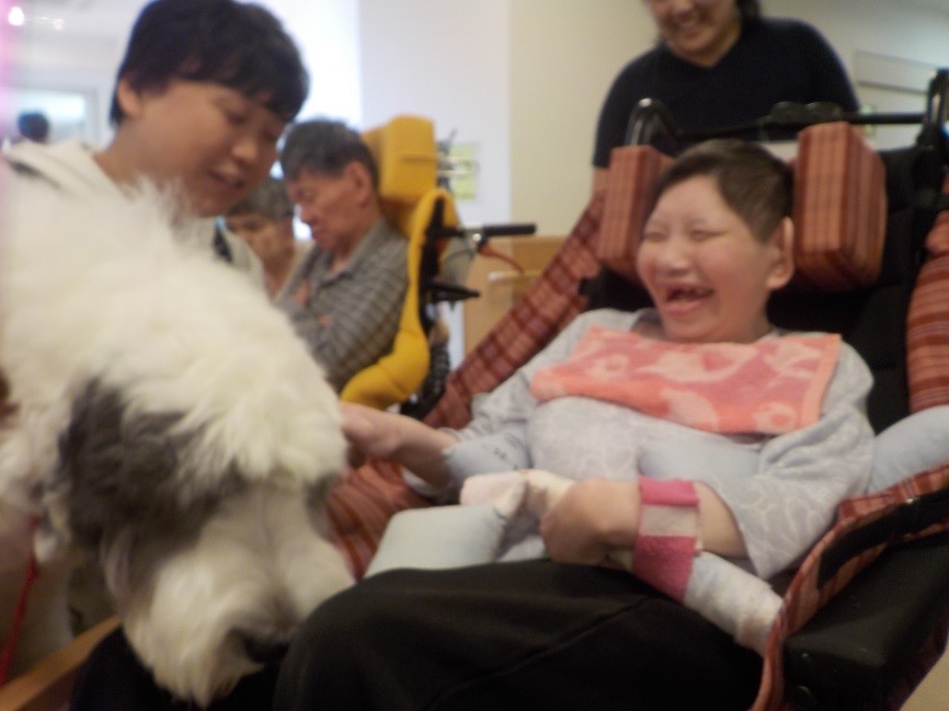 f:id:miraireport:20190701112830j:plain