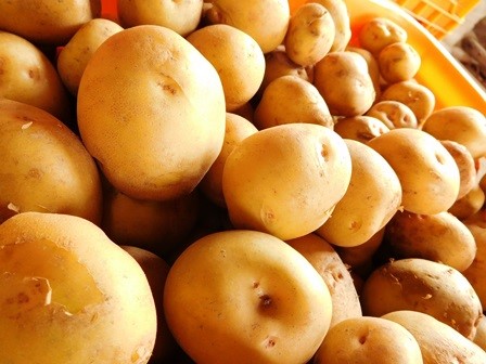 f:id:miraireport:20190712105305j:plain f:id:miraireport:20190712105305j:plain