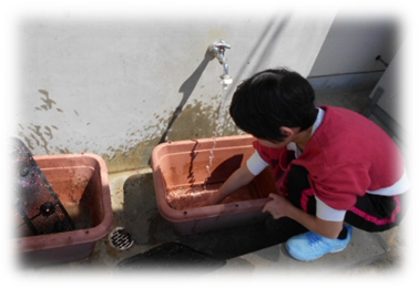 f:id:miraireport:20200515213852p:plain f:id:miraireport:20200515213852p:plain