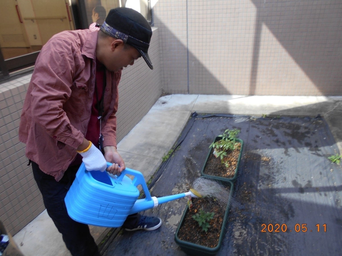 f:id:miraireport:20200517135137j:plain