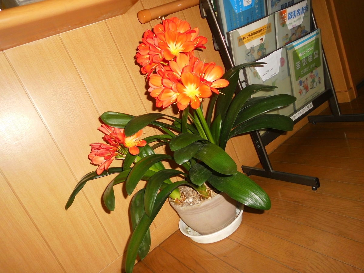 f:id:miraireport:20200522131949j:plain f:id:miraireport:20200522131949j:plain