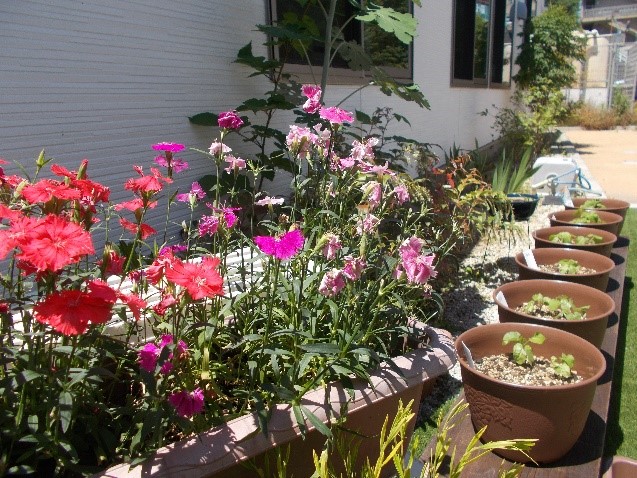 f:id:miraireport:20200528160542j:plain f:id:miraireport:20200528160542j:plain