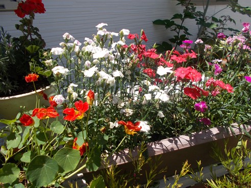 f:id:miraireport:20200528160634j:plain f:id:miraireport:20200528160634j:plain