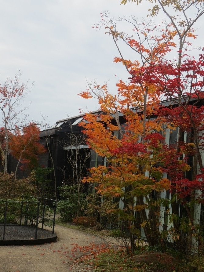 f:id:miraireport:20201112140904j:plain f:id:miraireport:20201112140904j:plain