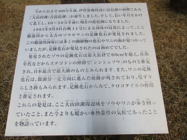 f:id:miraireport:20201216143555j:plain