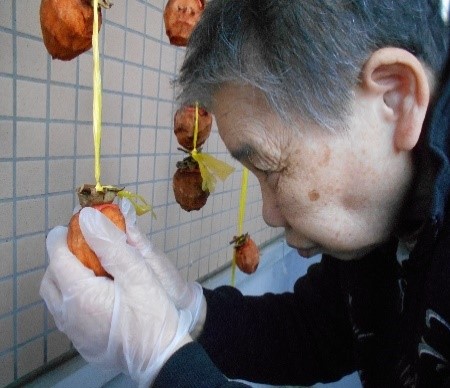 f:id:miraireport:20210107182829j:plain