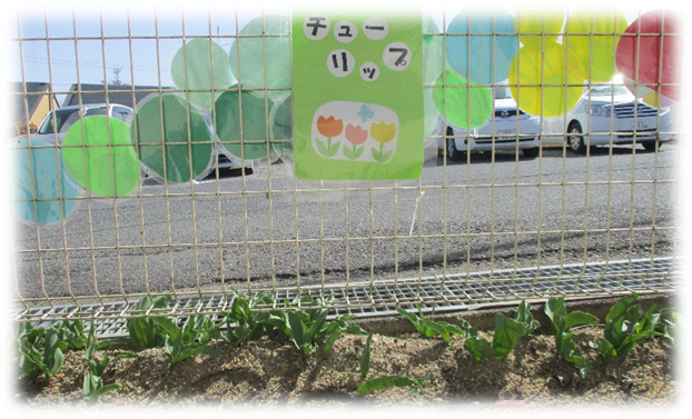 f:id:miraireport:20210319132526p:plain