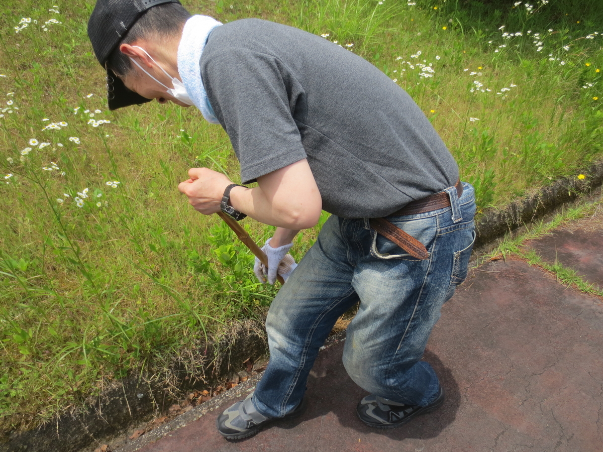 f:id:miraireport:20210616133141j:plain