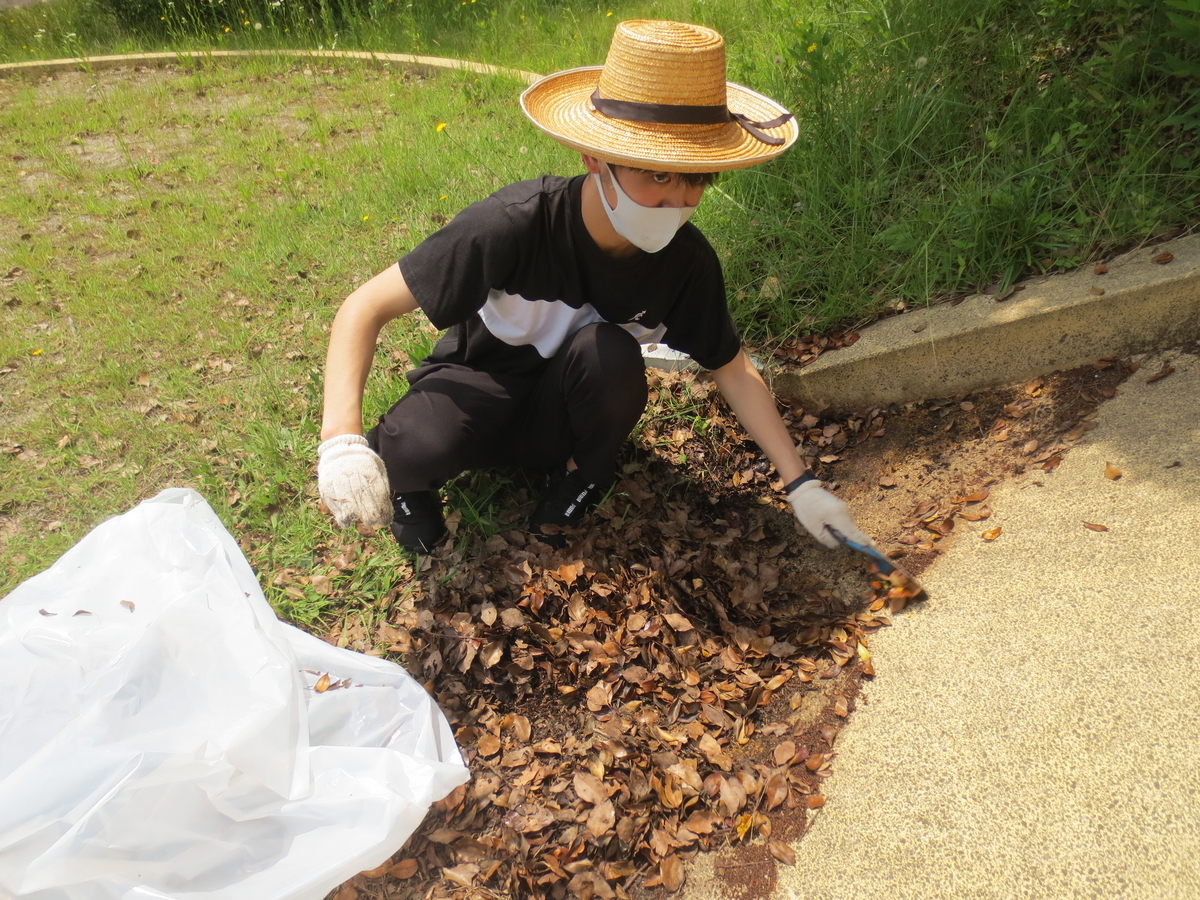 f:id:miraireport:20210616133608j:plain