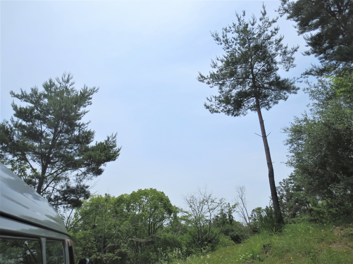 f:id:miraireport:20210616134153j:plain