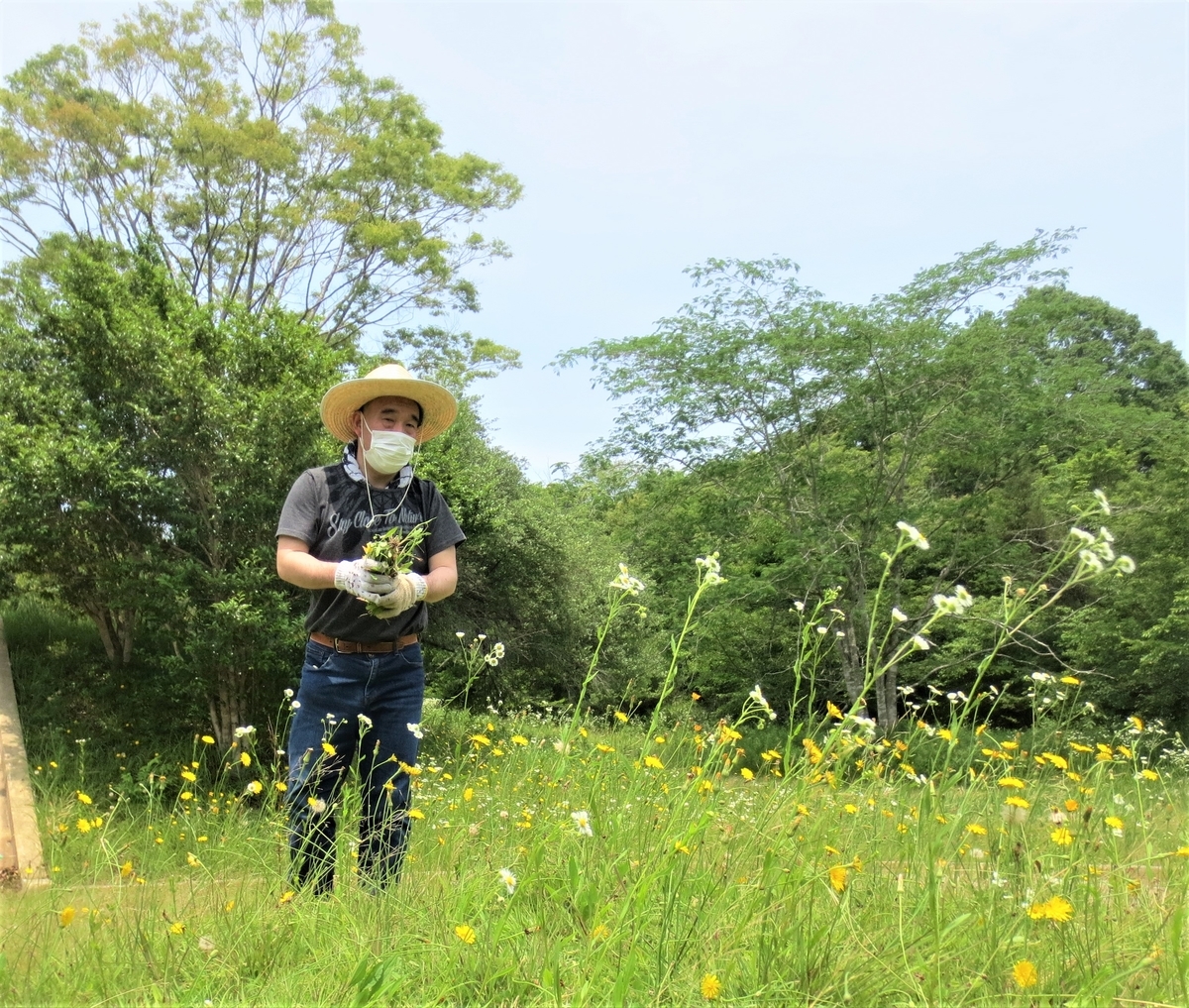 f:id:miraireport:20210616141147j:plain