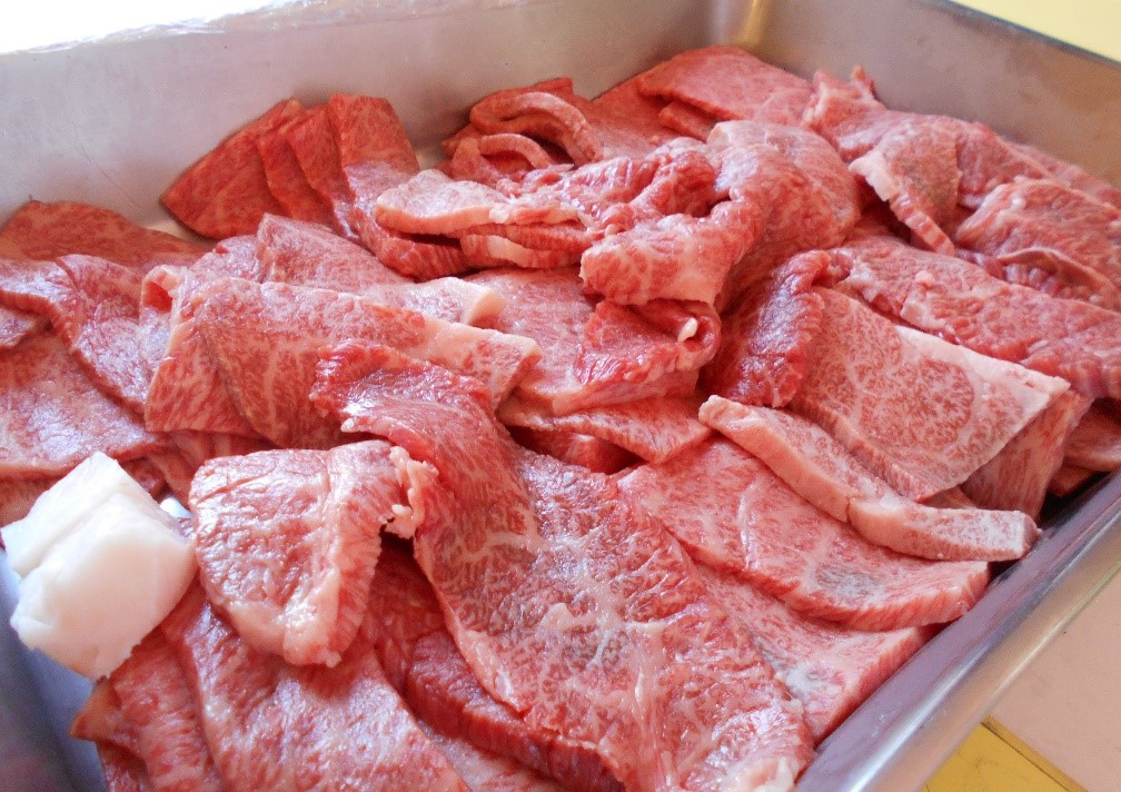 f:id:miraireport:20210620161954j:plain