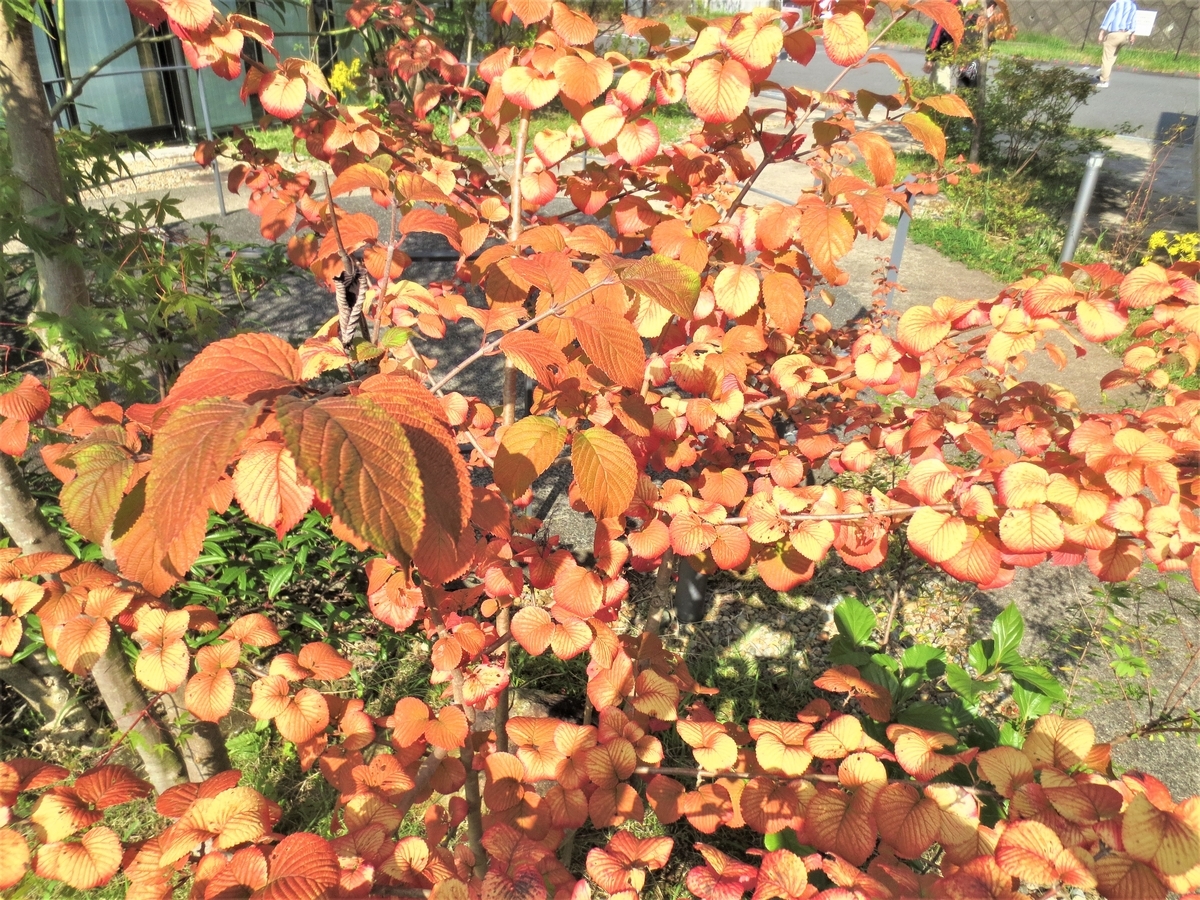 f:id:miraireport:20211018142148j:plain