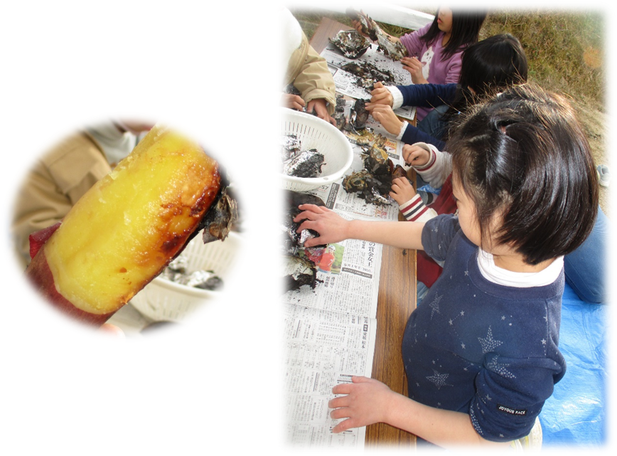 f:id:miraireport:20220119111701p:plain