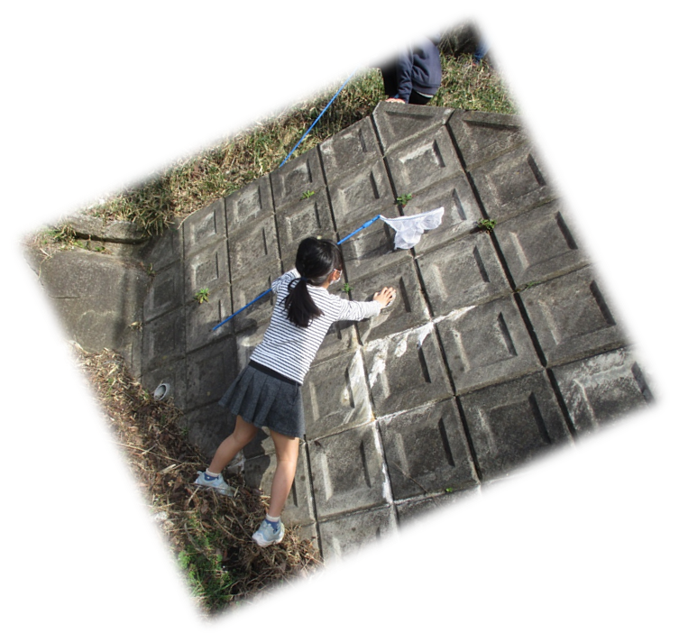 f:id:miraireport:20220406091655p:plain