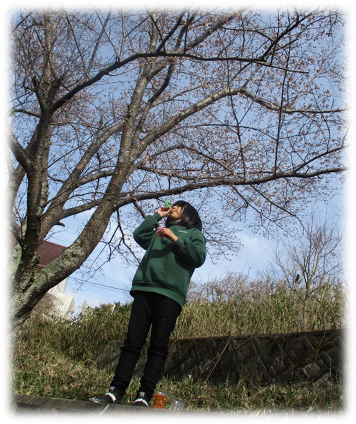 f:id:miraireport:20220406091715p:plain