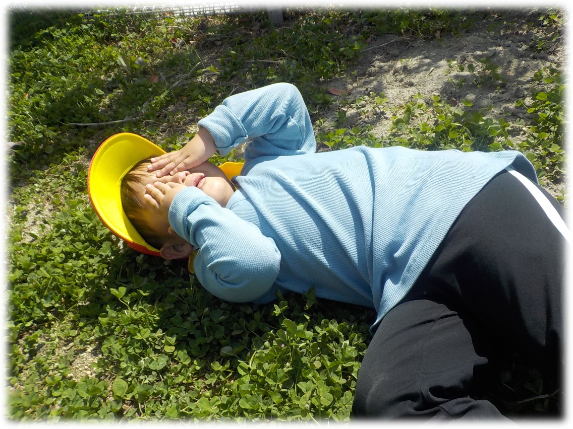 f:id:miraireport:20220411145257j:plain