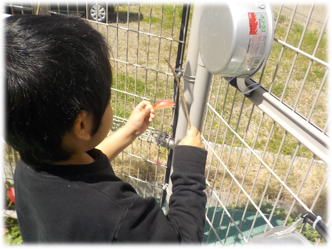 f:id:miraireport:20220411145455j:plain