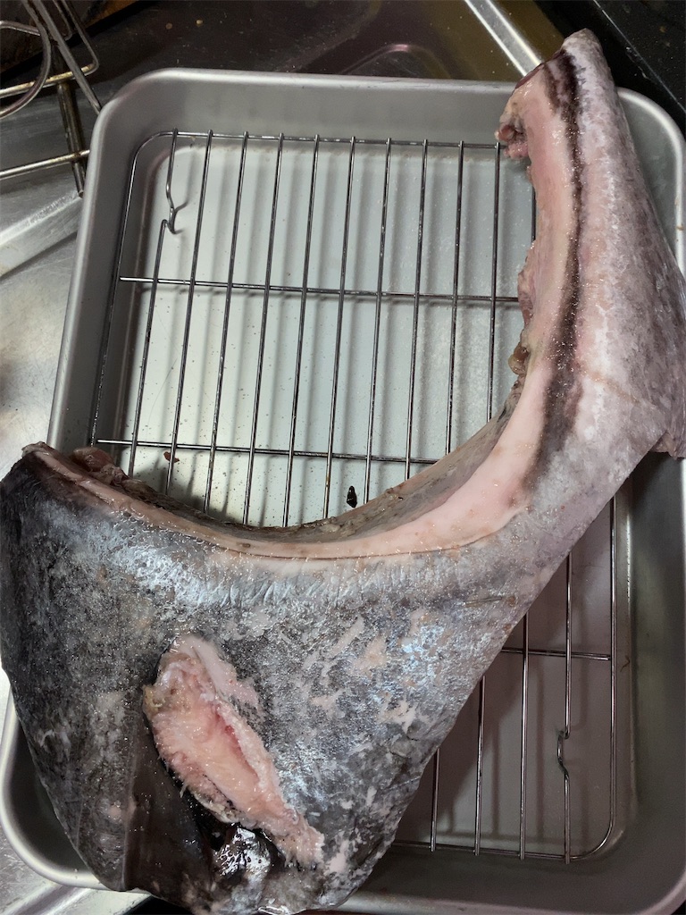 f:id:mirakurumoan:20210419210847j:image