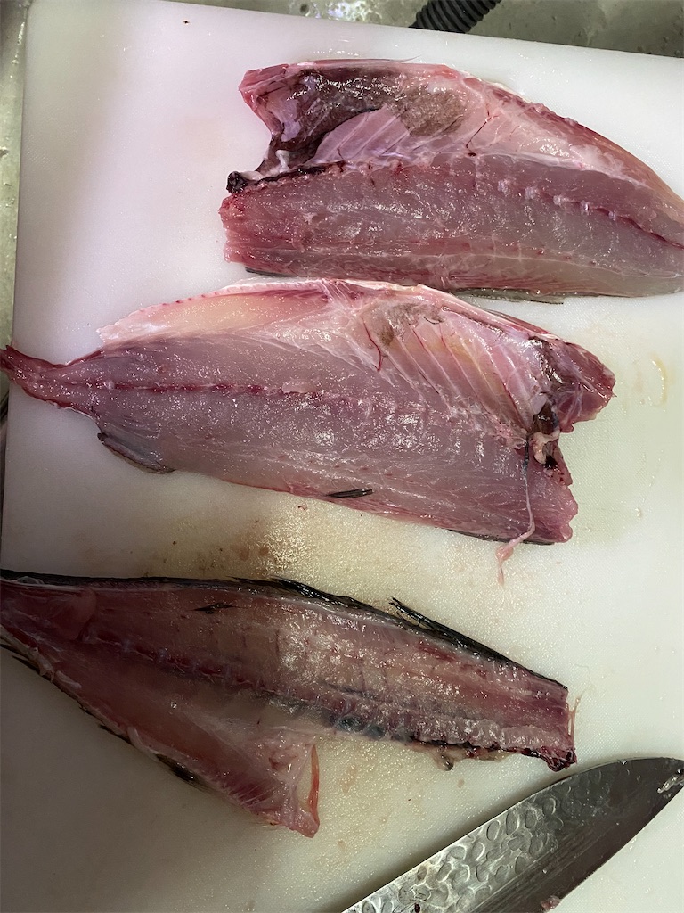 f:id:mirakurumoan:20210419210854j:image