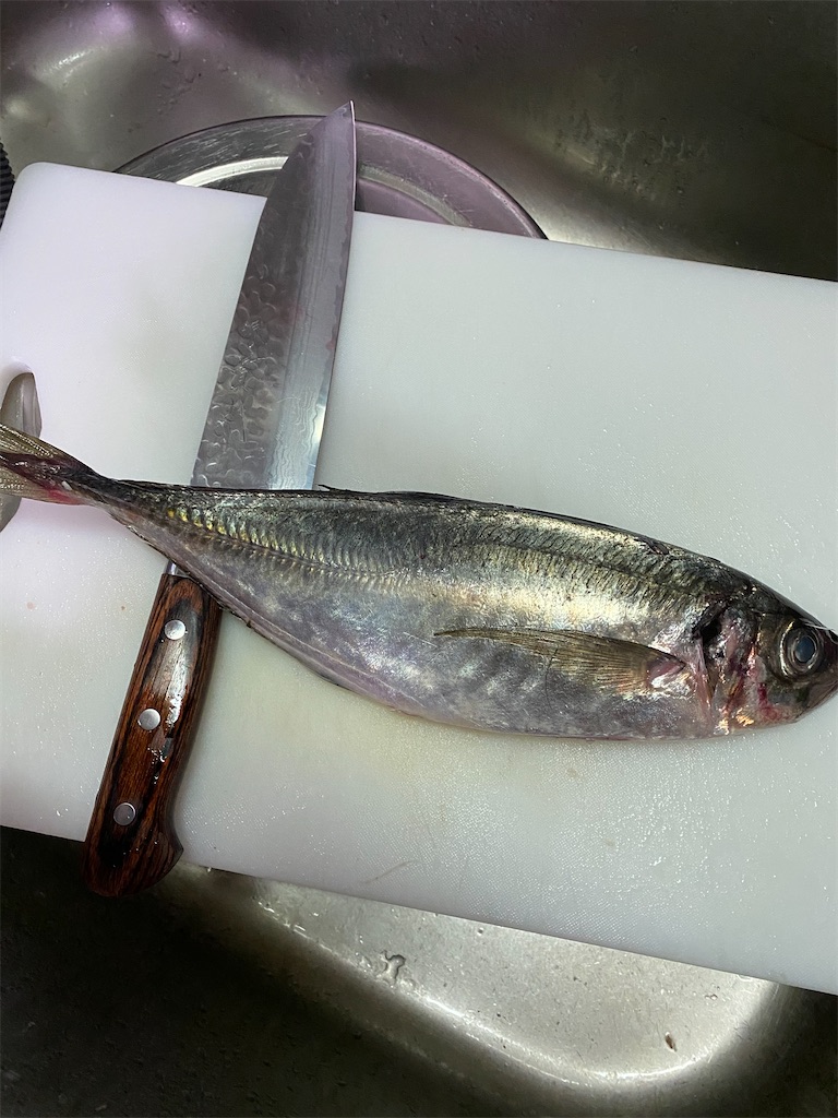 f:id:mirakurumoan:20210419210927j:image