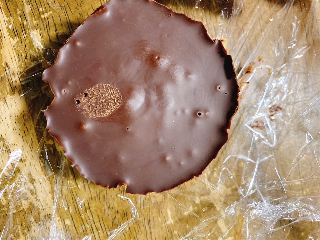 f:id:mirakurumoan:20230405201059j:image