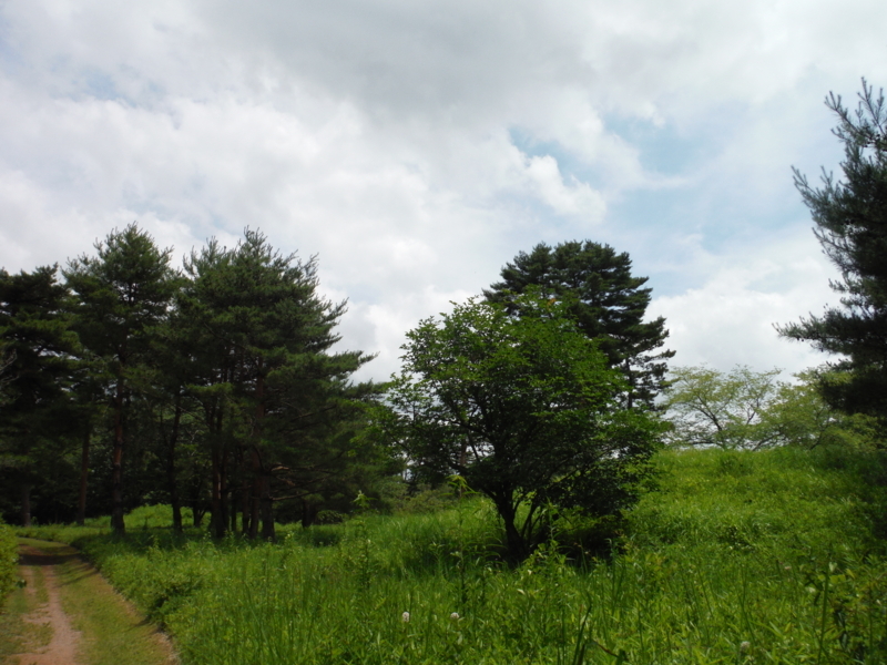 f:id:miraluna:20180605163211j:plain