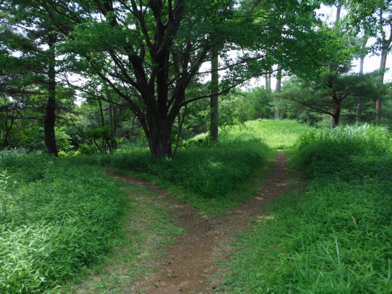 f:id:miraluna:20180605163213j:plain