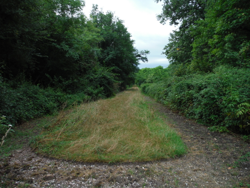 f:id:miraluna:20180823181736j:plain