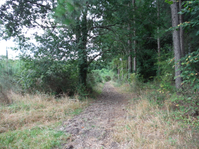 f:id:miraluna:20180823181737j:plain