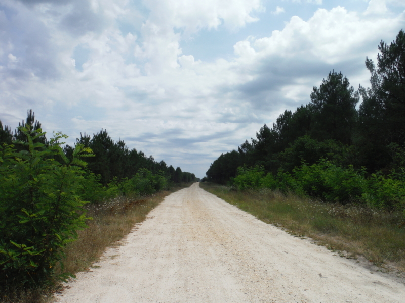 f:id:miraluna:20180823181739j:plain