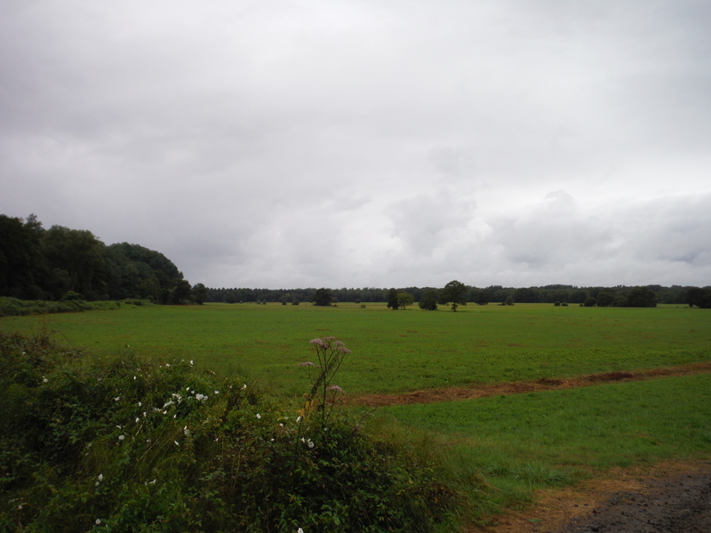 f:id:miraluna:20180921093448j:plain