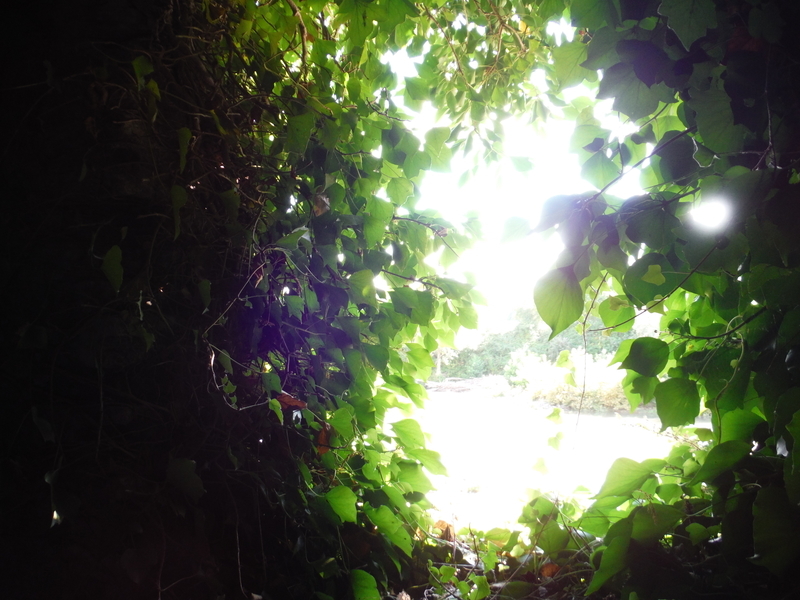 f:id:miraluna:20180921093501j:plain