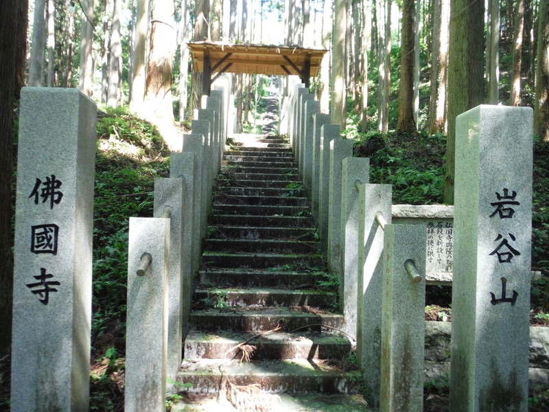 f:id:miraluna:20190923112550j:plain