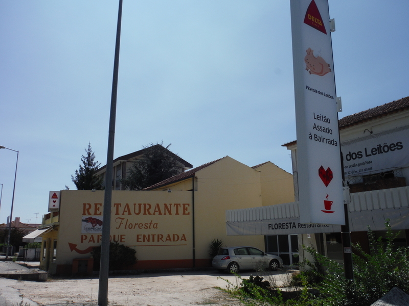 f:id:miraluna:20200126192229j:plain