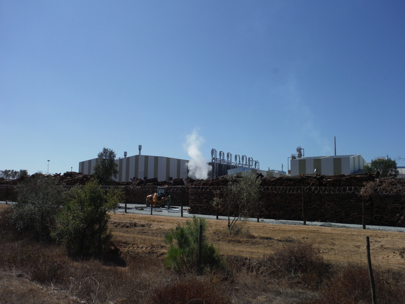 f:id:miraluna:20200702202044j:plain