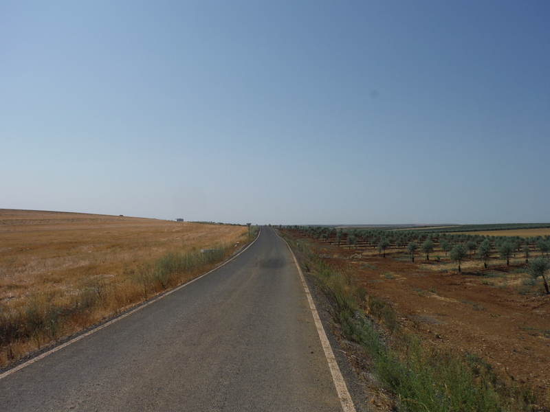 f:id:miraluna:20200804165428j:plain
