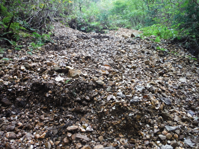 枯沢のズリ f:id:miraluna:20201102183913j:plain