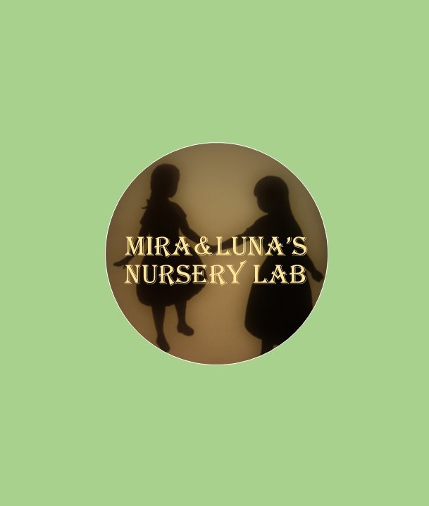 f:id:miraluna:20210117142115j:plain:w50