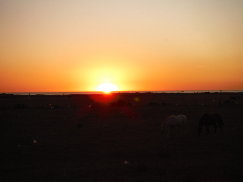 f:id:miraluna:20210526190628j:plain