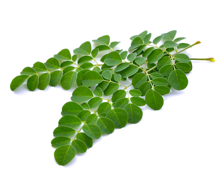 f:id:miramori1188:20190314193710j:plain f:id:miramori1188:20190314193710j:plain