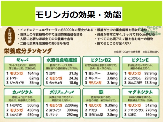 効果 モリンガ 水を浄化するモリンガ