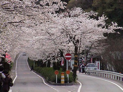 f:id:miranonicle:20100321153047j:image