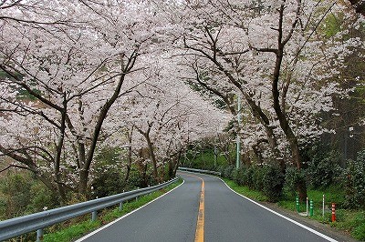 f:id:miranonicle:20100321153050j:image