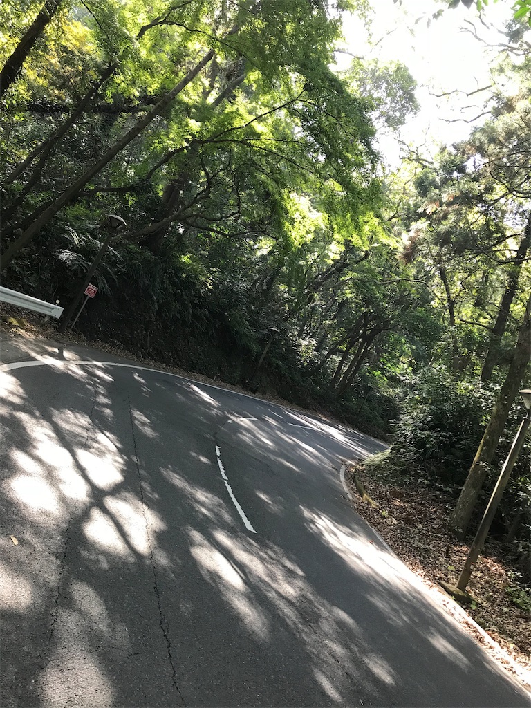 f:id:miraseed:20181112160128j:image
