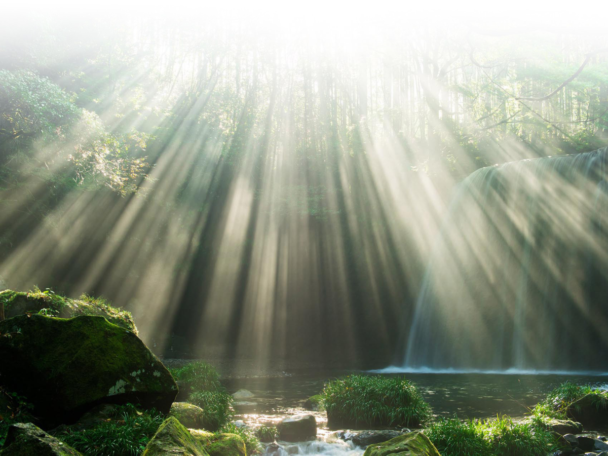 f:id:mire719:20191129114313p:plain f:id:mire719:20191129114313p:plain